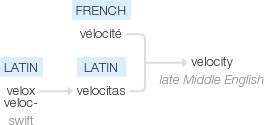 Ety img velocity.png