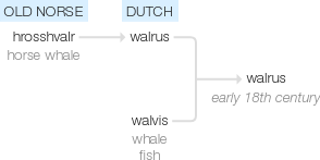Ety img walrus.png