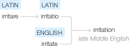 Ety img irritation.png