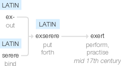 Ety img exert.png