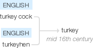 Ety img turkey's.png