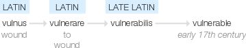 Ety img vulnerable.png