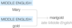 Ety img marigold.png