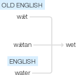 Ety img wet.png