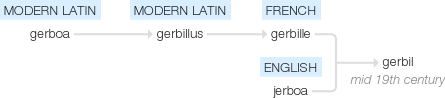 Ety img gerbil.png