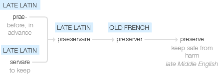 Ety img preserve.png