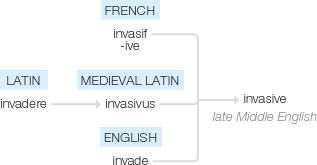 Ety img invasive.png