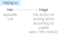 Ety img triage.png