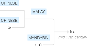 Ety img tea.png