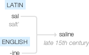 Ety img saline.png