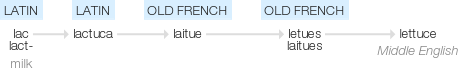 Ety img lettuce.png