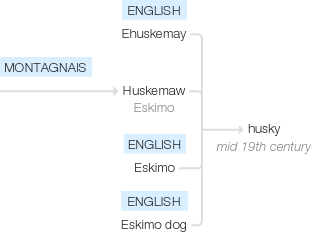 Ety img husky.png