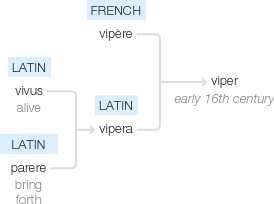 Ety img viper.png