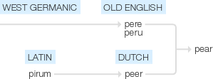 Ety img pear.png