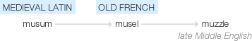 Ety img muzzle.png