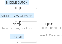 Ety img plump.png