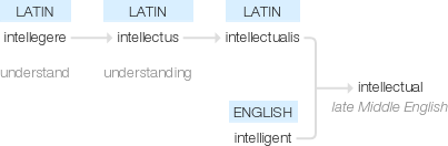 Ety img intellectual.png