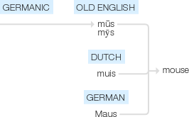 Ety img mice.png