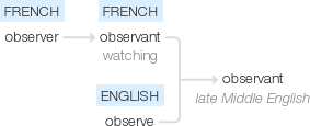 Ety img observant.png