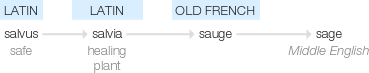 Ety img sage.png