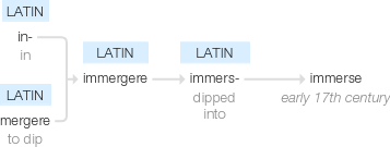 Ety img immerse.png