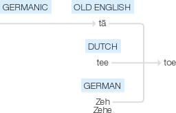 Ety img toe.png