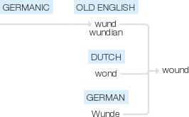 Ety img wound.png