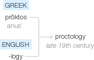 Ety img proctologist.png