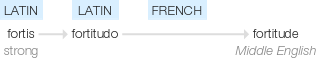 Ety img fortitude.png