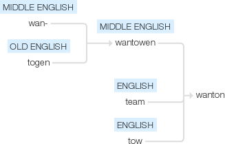 Ety img wanton.png