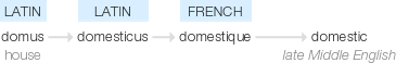 Ety img domestic.png