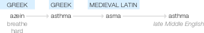 Ety img asthma.png