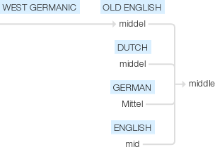 Ety img middle.png