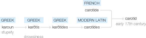 Ety img carotid.png