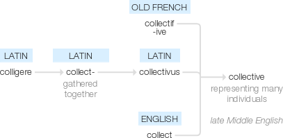 Ety img collective.png