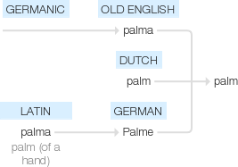 Ety img palm.png