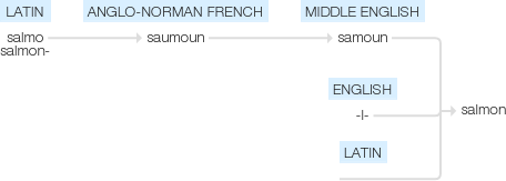 Ety img salmon.png