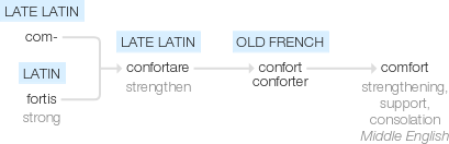 Ety img comfort.png