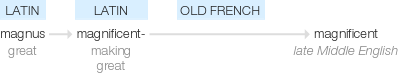 Ety img magnificent.png