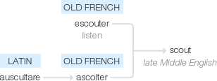 Ety img scout.png
