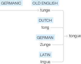 Ety img tongue.png