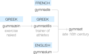 Ety img gymnast.png