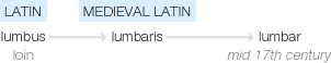 Ety img lumbar.png