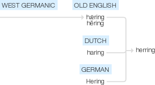 Ety img herring.png