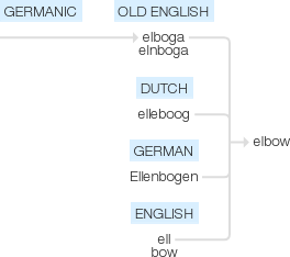 Ety img elbow.png