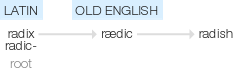 Ety img radish.png