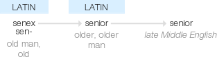 Ety img senior.png
