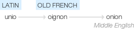 Ety img onion.png