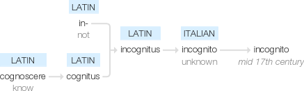 Ety img incognito.png