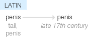 Ety img penis.png
